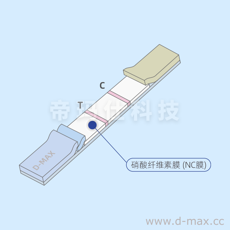 进口硝酸纤维素膜，胶体金法用NC膜